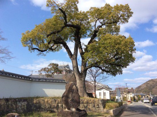 The Ruins of Gochaku Castle